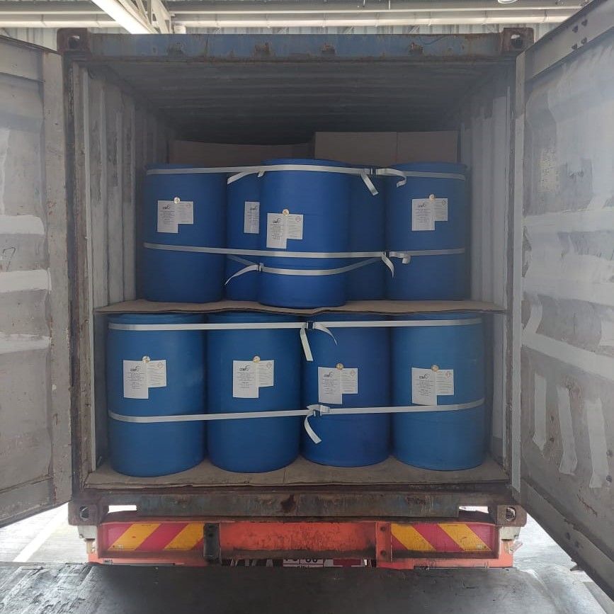 WhatsApp Image 2024-12-16 at 12.37.43 PM (1)